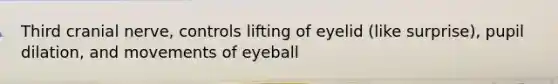 Third cranial nerve, controls lifting of eyelid (like surprise), pupil dilation, and movements of eyeball