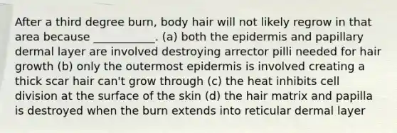 After a third degree burn, body hair will not likely regrow in that area because ___________. (a) both the epidermis and papillary dermal layer are involved destroying arrector pilli needed for hair growth (b) only the outermost epidermis is involved creating a thick scar hair can't grow through (c) the heat inhibits cell division at the surface of the skin (d) the hair matrix and papilla is destroyed when the burn extends into reticular dermal layer