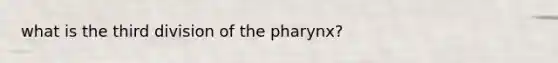 what is the third division of the pharynx?