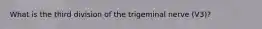 What is the third division of the trigeminal nerve (V3)?