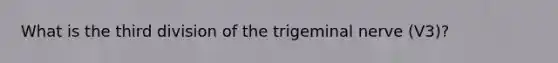 What is the third division of the trigeminal nerve (V3)?