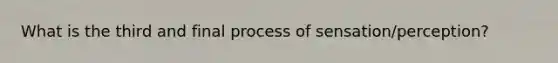 What is the third and final process of sensation/perception?