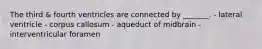 The third & fourth ventricles are connected by _______. - lateral ventricle - corpus callosum - aqueduct of midbrain - interventricular foramen