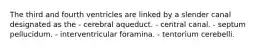 The third and fourth ventricles are linked by a slender canal designated as the - cerebral aqueduct. - central canal. - septum pellucidum. - interventricular foramina. - tentorium cerebelli.