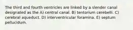 The third and fourth ventricles are linked by a slender canal designated as the A) central canal. B) tentorium cerebelli. C) cerebral aqueduct. D) interventricular foramina. E) septum pellucidum.