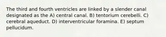 The third and fourth ventricles are linked by a slender canal designated as the A) central canal. B) tentorium cerebelli. C) cerebral aqueduct. D) interventricular foramina. E) septum pellucidum.