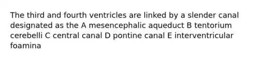 The third and fourth ventricles are linked by a slender canal designated as the A mesencephalic aqueduct B tentorium cerebelli C central canal D pontine canal E interventricular foamina