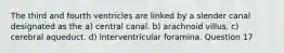 The third and fourth ventricles are linked by a slender canal designated as the a) central canal. b) arachnoid villus. c) cerebral aqueduct. d) interventricular foramina. Question 17