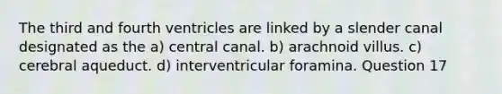 The third and fourth ventricles are linked by a slender canal designated as the a) central canal. b) arachnoid villus. c) cerebral aqueduct. d) interventricular foramina. Question 17