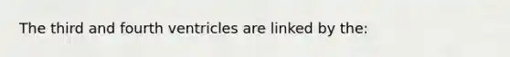 The third and fourth ventricles are linked by the: