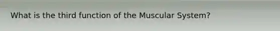 What is the third function of the Muscular System?