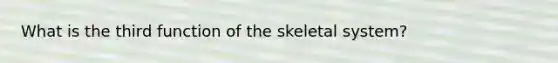 What is the third function of the skeletal system?