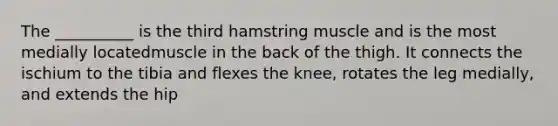 The __________ is the third hamstring muscle and is the most medially locatedmuscle in the back of the thigh. It connects the ischium to the tibia and flexes the knee, rotates the leg medially, and extends the hip