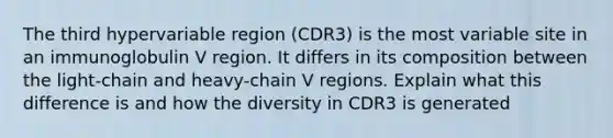 The third hypervariable region (CDR3) is the most variable site in an immunoglobulin V region. It differs in its composition between the light-chain and heavy-chain V regions. Explain what this difference is and how the diversity in CDR3 is generated