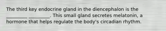 The third key endocrine gland in the diencephalon is the _________ _________. This small gland secretes melatonin, a hormone that helps regulate the body's circadian rhythm.