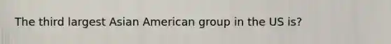 The third largest Asian American group in the US is?