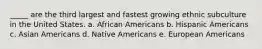 _____ are the third largest and fastest growing ethnic subculture in the United States. a. African Americans b. Hispanic Americans c. Asian Americans d. Native Americans e. European Americans