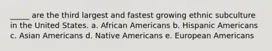 _____ are the third largest and fastest growing ethnic subculture in the United States. a. African Americans b. Hispanic Americans c. Asian Americans d. Native Americans e. European Americans