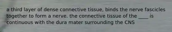 a third layer of dense connective tissue, binds the nerve fascicles together to form a nerve. the connective tissue of the ____ is continuous with the dura mater surrounding the CNS