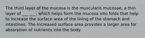 The third layer of the mucosa is the muscularis mucosae, a thin layer of ___ ___, which helps form the mucosa into folds that help to increase the surface area of the lining of the stomach and intestines. The increased surface area provides a larger area for absorption of nutrients into the body.