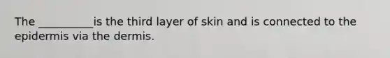 The __________is the third layer of skin and is connected to the epidermis via the dermis.