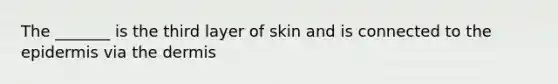 The _______ is the third layer of skin and is connected to the epidermis via the dermis