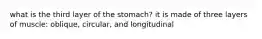 what is the third layer of the stomach? it is made of three layers of muscle: oblique, circular, and longitudinal