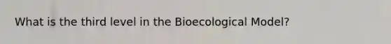 What is the third level in the Bioecological Model?