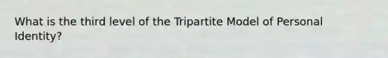 What is the third level of the Tripartite Model of Personal Identity?