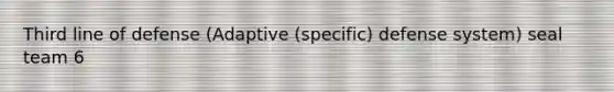 Third line of defense (Adaptive (specific) defense system) seal team 6