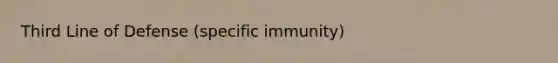 Third Line of Defense (specific immunity)