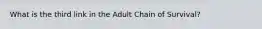 What is the third link in the Adult Chain of Survival?