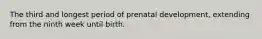 The third and longest period of prenatal development, extending from the ninth week until birth.