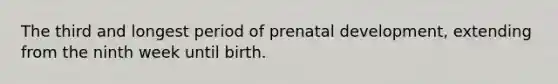 The third and longest period of prenatal development, extending from the ninth week until birth.