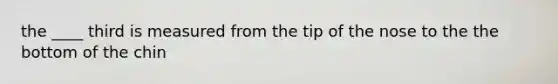 the ____ third is measured from the tip of the nose to the the bottom of the chin