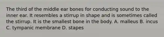 The third of the middle ear bones for conducting sound to the inner ear. It resembles a stirrup in shape and is sometimes called the stirrup. It is the smallest bone in the body. A. malleus B. incus C. tympanic membrane D. stapes