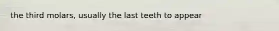 the third molars, usually the last teeth to appear