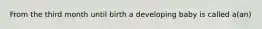 From the third month until birth a developing baby is called a(an)