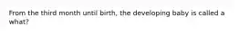 From the third month until birth, the developing baby is called a what?