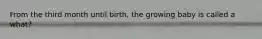 From the third month until birth, the growing baby is called a what?