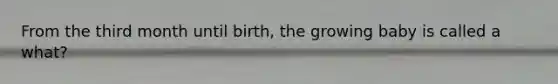 From the third month until birth, the growing baby is called a what?