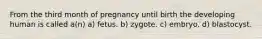 From the third month of pregnancy until birth the developing human is called a(n) a) fetus. b) zygote. c) embryo. d) blastocyst.