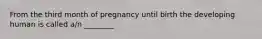 From the third month of pregnancy until birth the developing human is called a/n ________