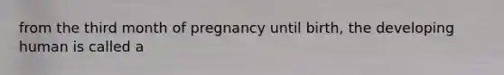 from the third month of pregnancy until birth, the developing human is called a