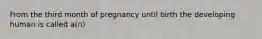 From the third month of pregnancy until birth the developing human is called a(n)