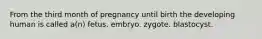 From the third month of pregnancy until birth the developing human is called a(n) fetus. embryo. zygote. blastocyst.