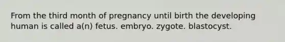 From the third month of pregnancy until birth the developing human is called a(n) fetus. embryo. zygote. blastocyst.