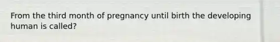 From the third month of pregnancy until birth the developing human is called?