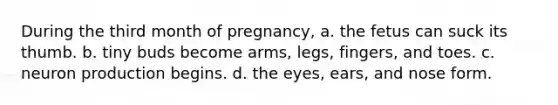 During the third month of pregnancy, a. the fetus can suck its thumb. b. tiny buds become arms, legs, fingers, and toes. c. neuron production begins. d. the eyes, ears, and nose form.