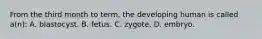 From the third month to term, the developing human is called a(n): A. blastocyst. B. fetus. C. zygote. D. embryo.